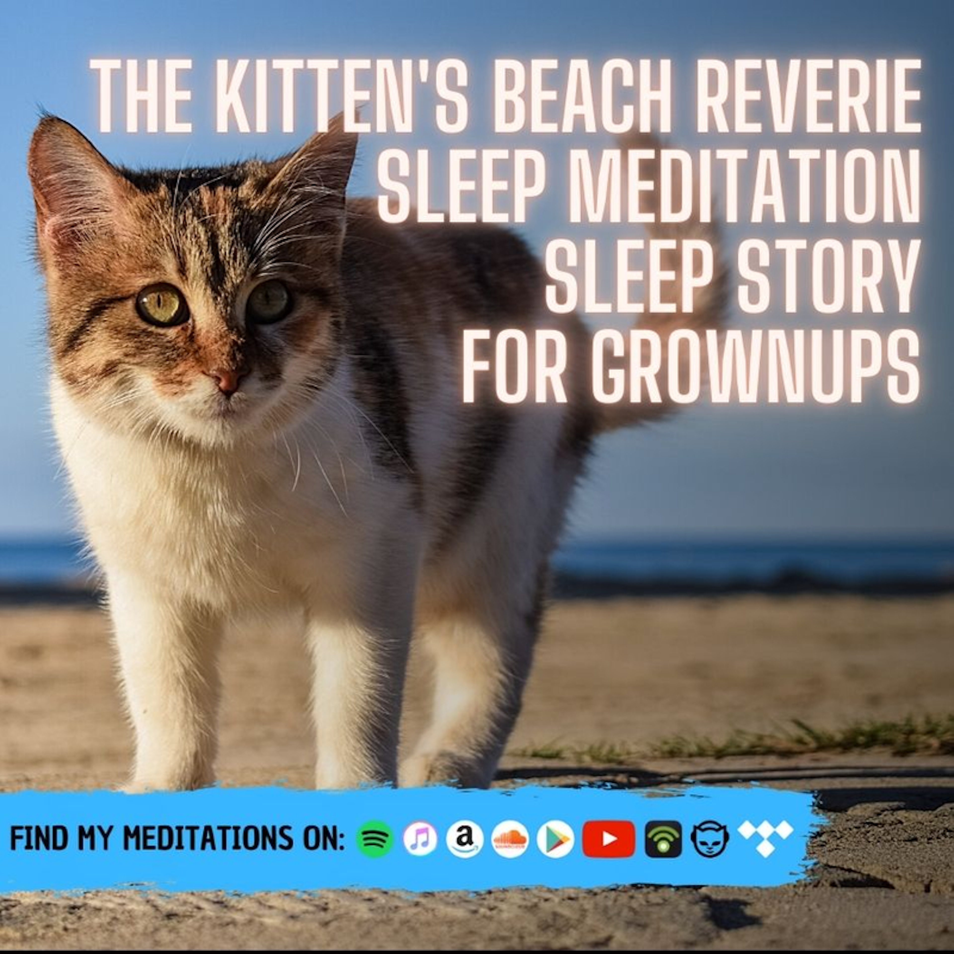 The Kitten's Beach Reverie
